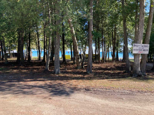 Tree line in front of lake shore