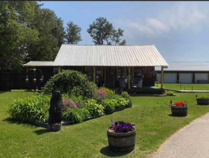 A rental cabin with a garden in front