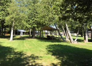 Green lawn with a few trees and sheltered pavillions