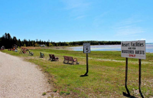 Shore of a lake with some benches